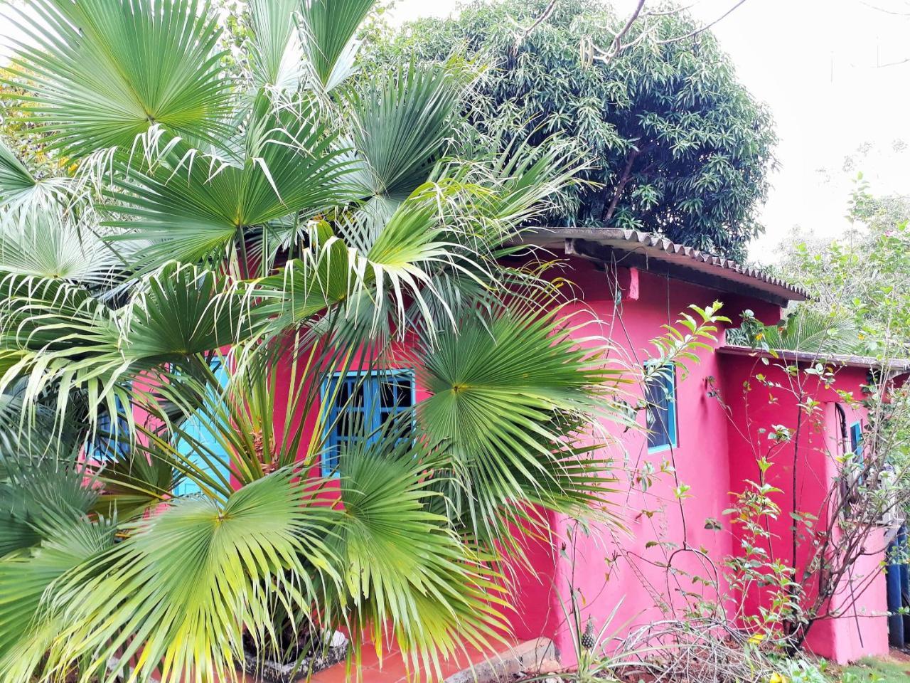 Casa Maya 산타 카탈리나 외부 사진